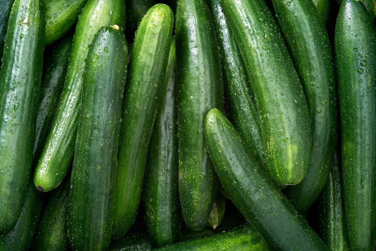 Pepino Ensalada (unidad)