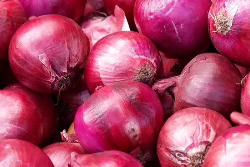 Cebolla Morada (unidad)
