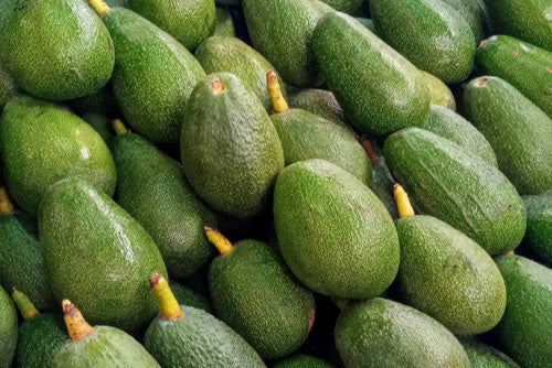 Palta Fuerte (unidad)