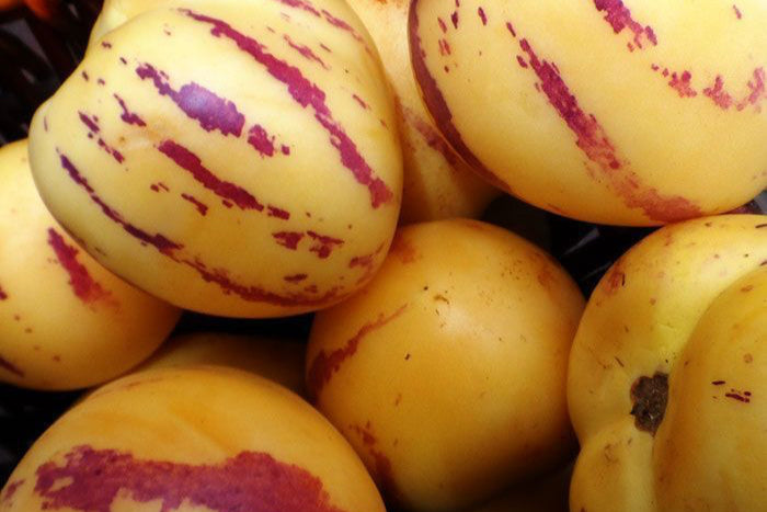 Pepino Dulce (unidad)