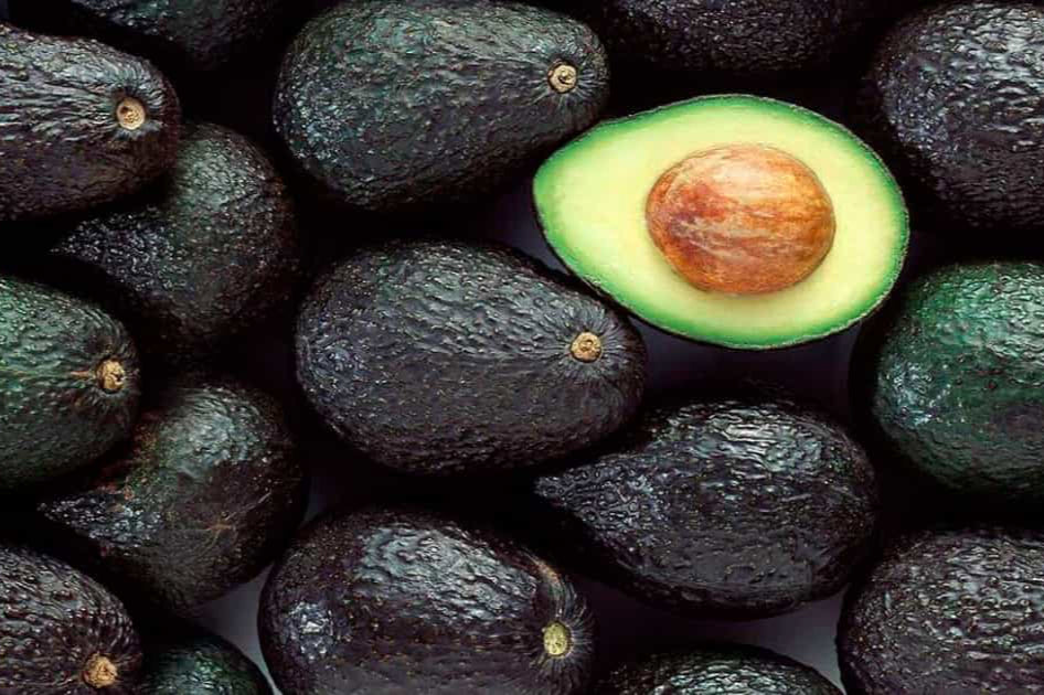 Palta hass (unidad)