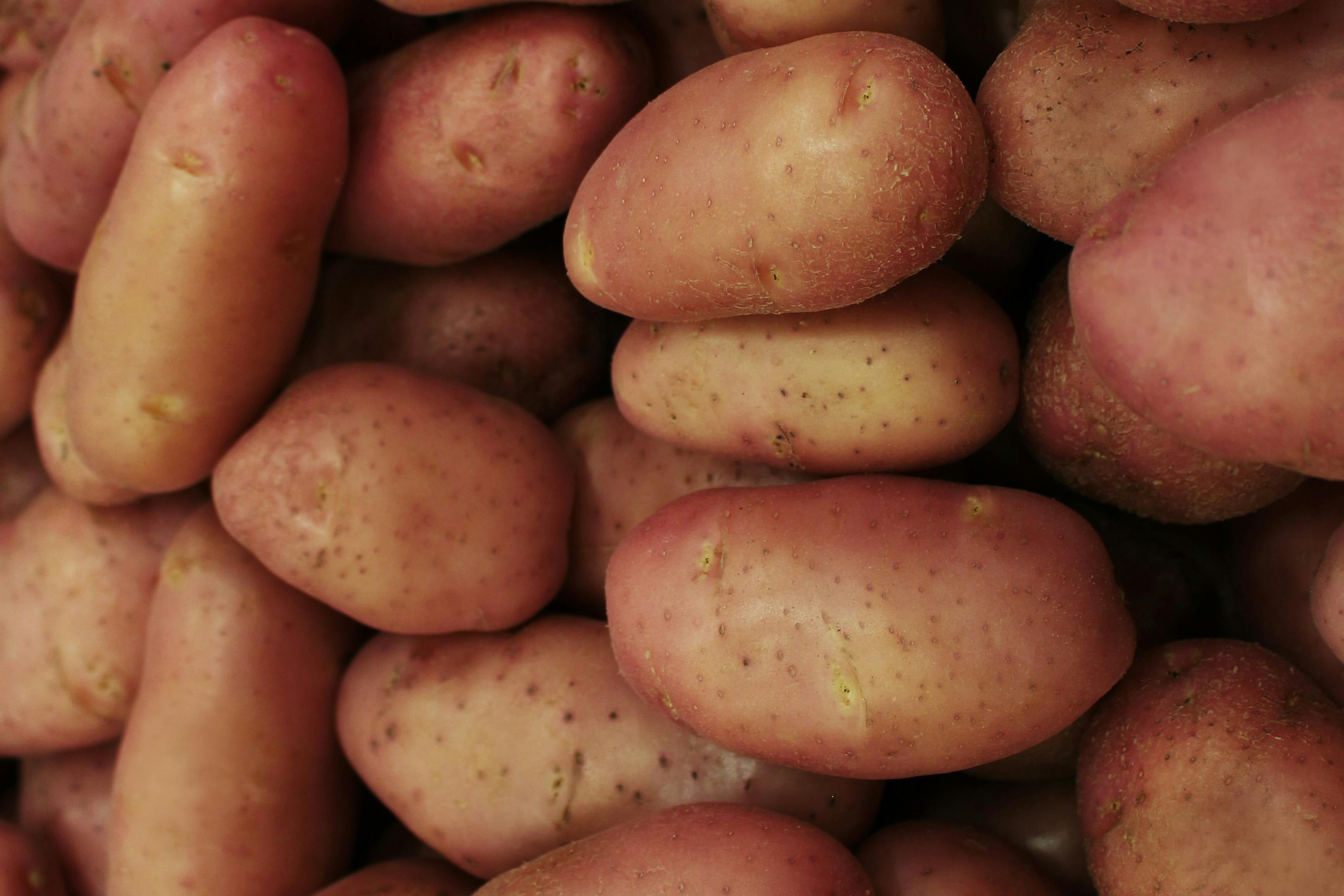 Papas (unidad)