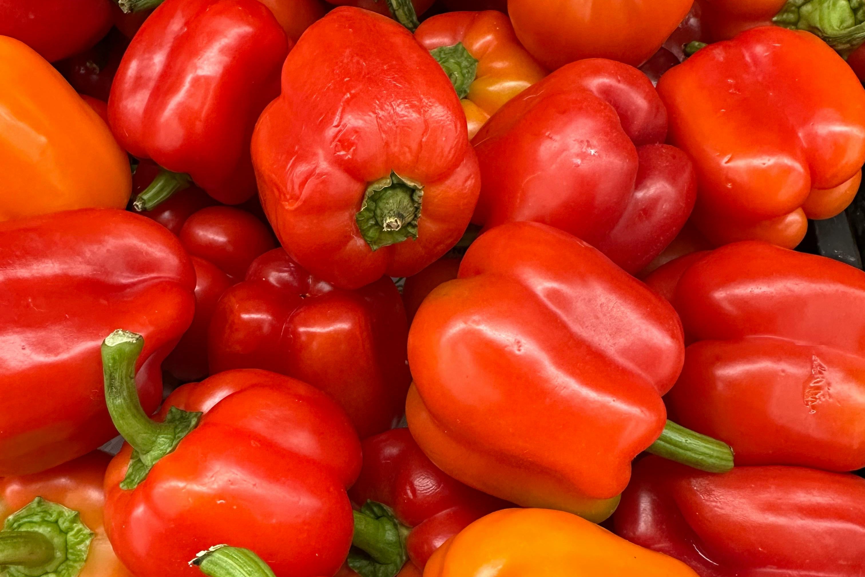 Pimiento Rojo (unidad)